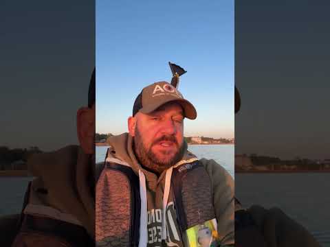 Just When You Thought It Couldn’t Get Worse 🤣🤣🤣 #congress #langley #shortsvideo #goa #shortsfeed Thumbnail