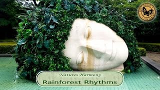 Nature´s Harmony - Rainforest Rhythms