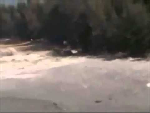 Artiesten voor Azië - Als je iets kan doen