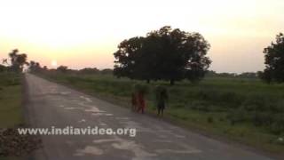 Evening Shots from Khajuraho Village