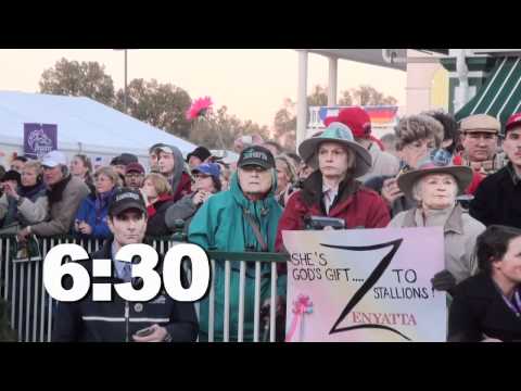 Zenyatta Still the Queen in Defeat