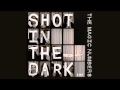 The Magic Numbers - Shot In The Dark (Official Audio)