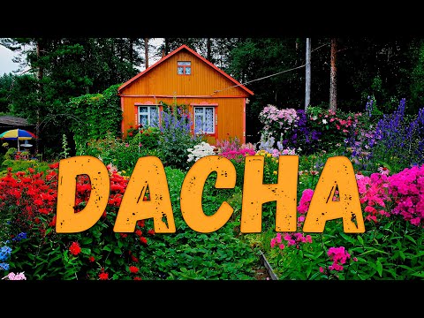 My Grandfather’s Farmhouse Adventure | DACHA Full Playthrough Part 1