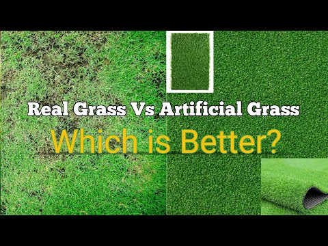 Artificial Grass vs  Real Grass: Which is Better?