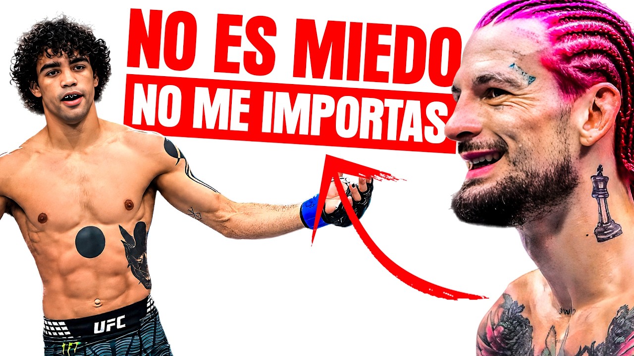 ¡NO HAY MIEDO!