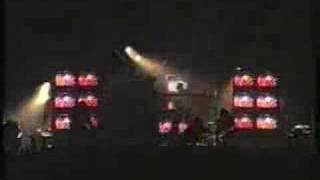 Peace Love & Pitbulls - Radio Live