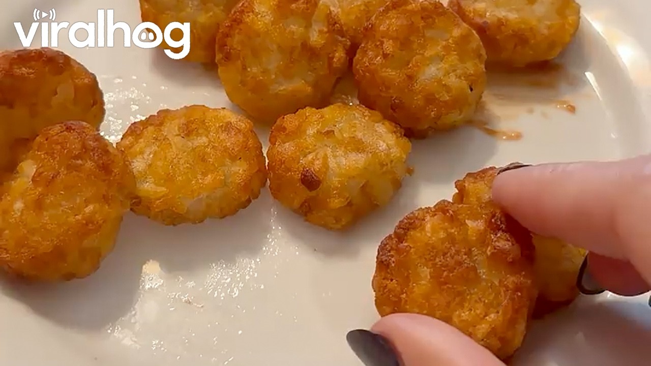 POV: You're Eating Tater Tots and Your Blind Dog Can Smell Them || ViralHog