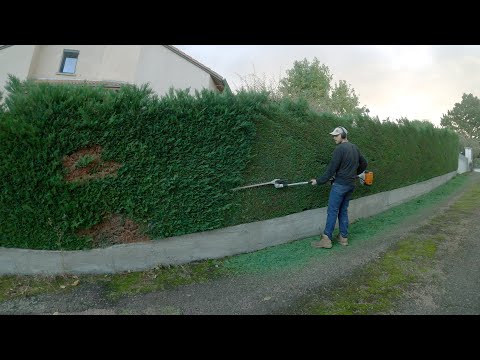 Débroussaillage terrain par paysagiste Puy-de-Dôme