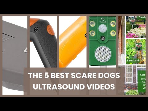 Scare dogs ultrasound: The 5 best scare dogs ultrasound videos