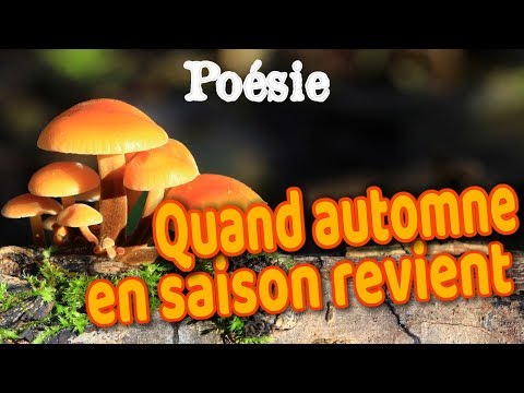 Poésie 🍄 Quand automne en saison revient de Samivel 🍄