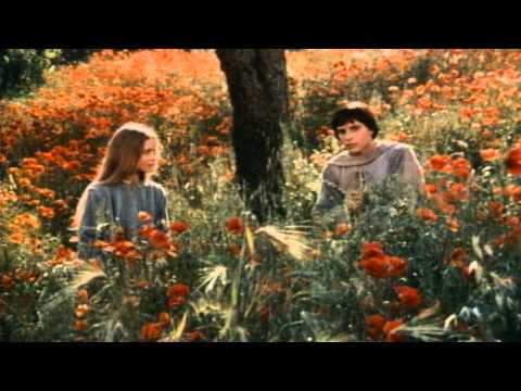 image Fratello sole, sorella luna