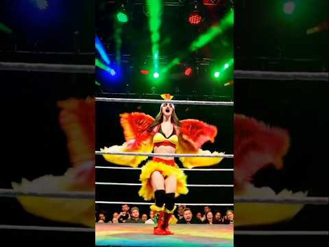 WRESTLE! WRESTLE! WRESTLE! Queen Cluck Just arrived to make Pro wrestling county fried! 🐔 🐔🐔