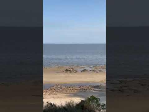 Jinete en playa El Ensueño, Colonia #uruguay #shorts #beach