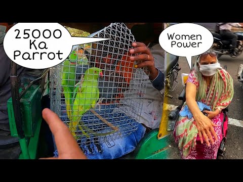 Parrots Ko Pinjare Me Kyo Rakha hai 😡 & (Women Power)  Aunty Jee ko Hats off hai 👌