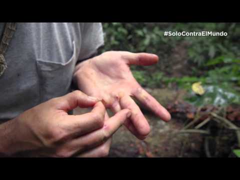 Solo Contra El Mundo | Los  tips de Hazen Audel | Nat Geo