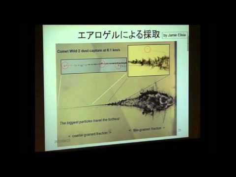 すべての生命の起源: 研究者は私たちの起源について驚くべき洞察を発見
