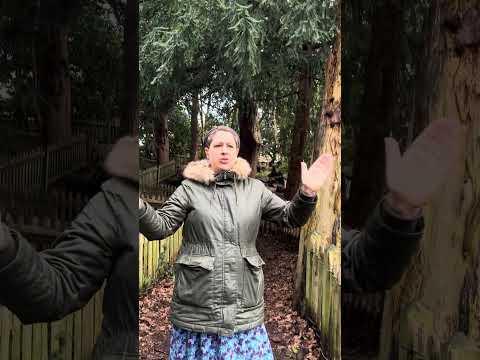  Autistic Artist Rebekah out Ratspotting in London 