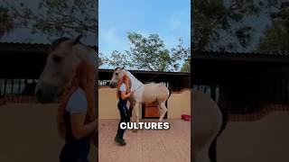 Download lagu Penjelasan tentang Dancing Horse mp3