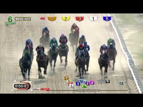 Champ Line - Busan Racecourse - April 30, 2017
