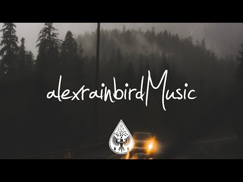 Meadowlark - Headlights