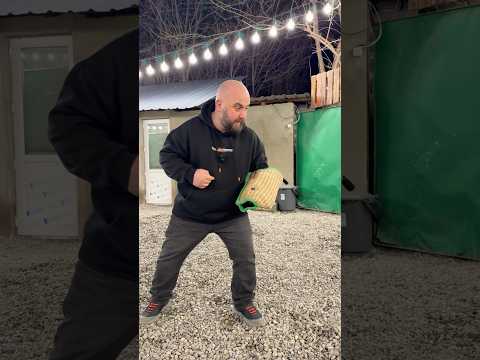 სწორია ასეთი თამაში? 🤔  #dogs #წვრთნა #კინოლოგი #dogschool