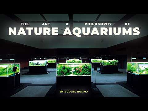 The Art and Philosophy of Nature Aquariums | Yusuke Homma FULL SEMINAR