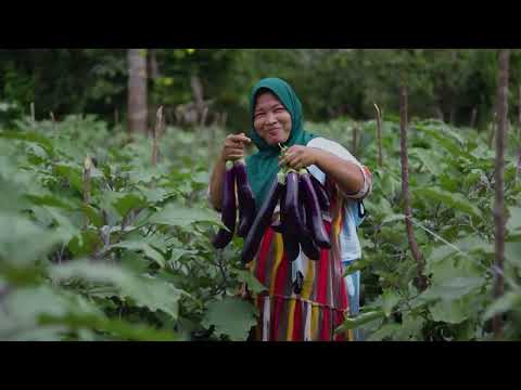 Profil Tabalong 2025