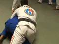 Top Team BJJ
