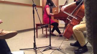 Silent Night (The Piano Guys Cello/Piano Live Audio by Mitchell & Mei Lin)