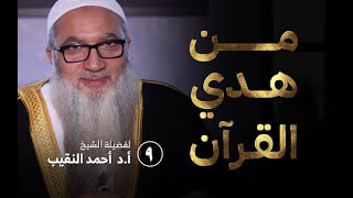 صورة من هدي القرآن | ٩ | فضيلة الشيخ أ.د أحمد النقيب