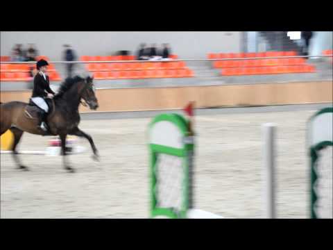 Olimpia Kołodziej na Big Ben, Finał Jump off Sopot, klasa P1, 22 03 15