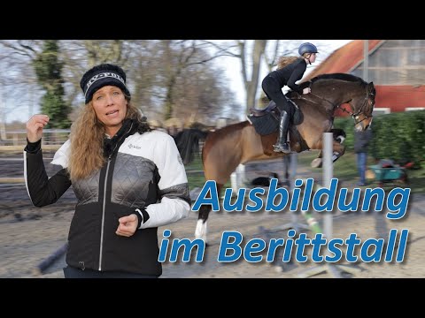 Ausbildung im Berittstall - Sind Pferdegesundheit und Reiten in Einklang zu bringen?