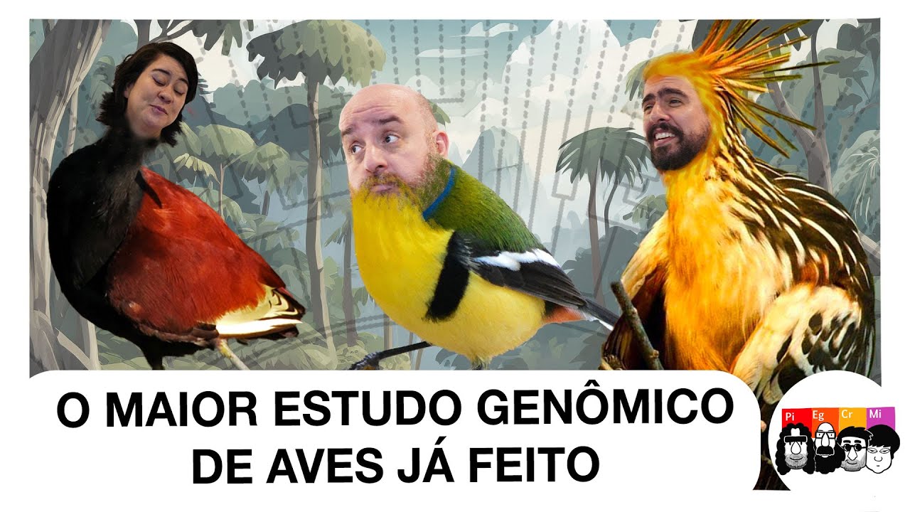O que o O MAIOR ESTUDO GENÔMICO DE AVES JÁ FEITO revela?
