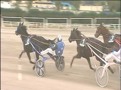 Trotto 29/11/2019 - 1ª corsa