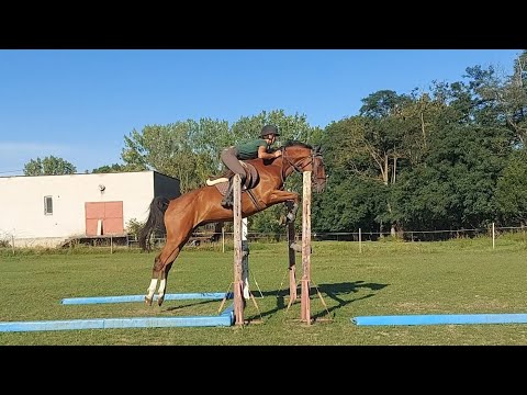 GOTHART - Cantinoso x Gota (Baldini). 27.8.25