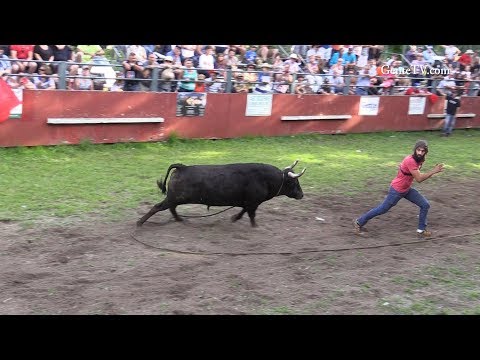 Musica no Picnic & Festa Brava de GenteTV - Aug.26 - #1