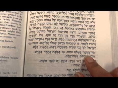 Weekday maariv- class #1