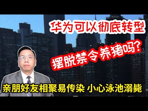 , title : '华为可以彻底转型摆脱禁令养猪吗？亲朋好友相聚易传染小心泳池溺毙 Can HUAWEI transform pig farming? Family infected when gathering.'