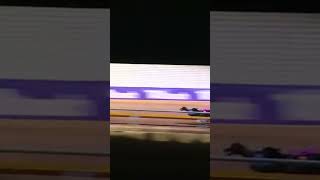 dog race ..bet pro id available ...for bet pro id contact us #03190449471 #betpr