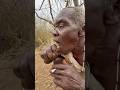 Centenarians In Primitive Tribes In Africa Food African Documentary Nature