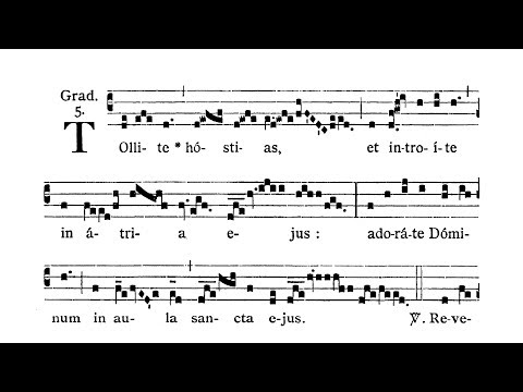 Feria V post Dominicam I Passionis (Thursday after Passion Sunday) - Graduale (Tollite hostias)
