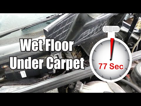 Car Floor Wet Under Mat