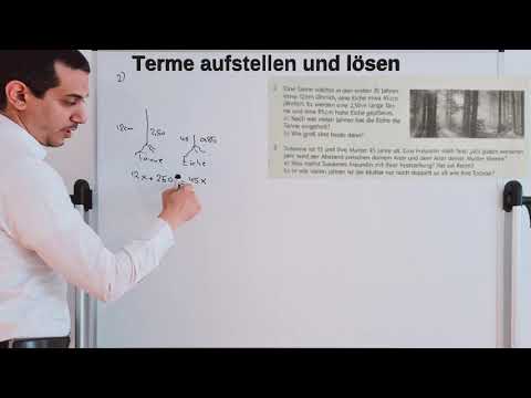 Terme aufstellen und lösen Textaufgaben