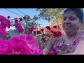 Molamma Aunty S Garden