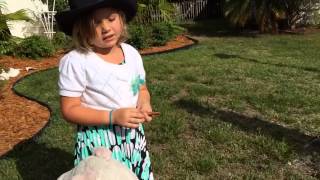 &quot;The Farm Storm&quot; Directed by Vincent John