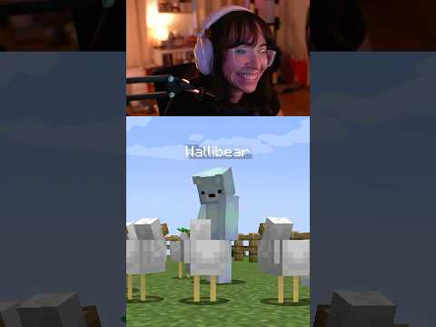 Chicken hides from Wallibear 🤫🐔  #minecraft #minecraftshorts