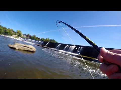 Oswego River NY SALMON FISHING, How hard is it to land one?