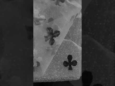 ANTEPRIMA SS24 COLLECTION Pre show Video 2