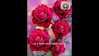 Fools Direction (w Lyric/ Karaoke)