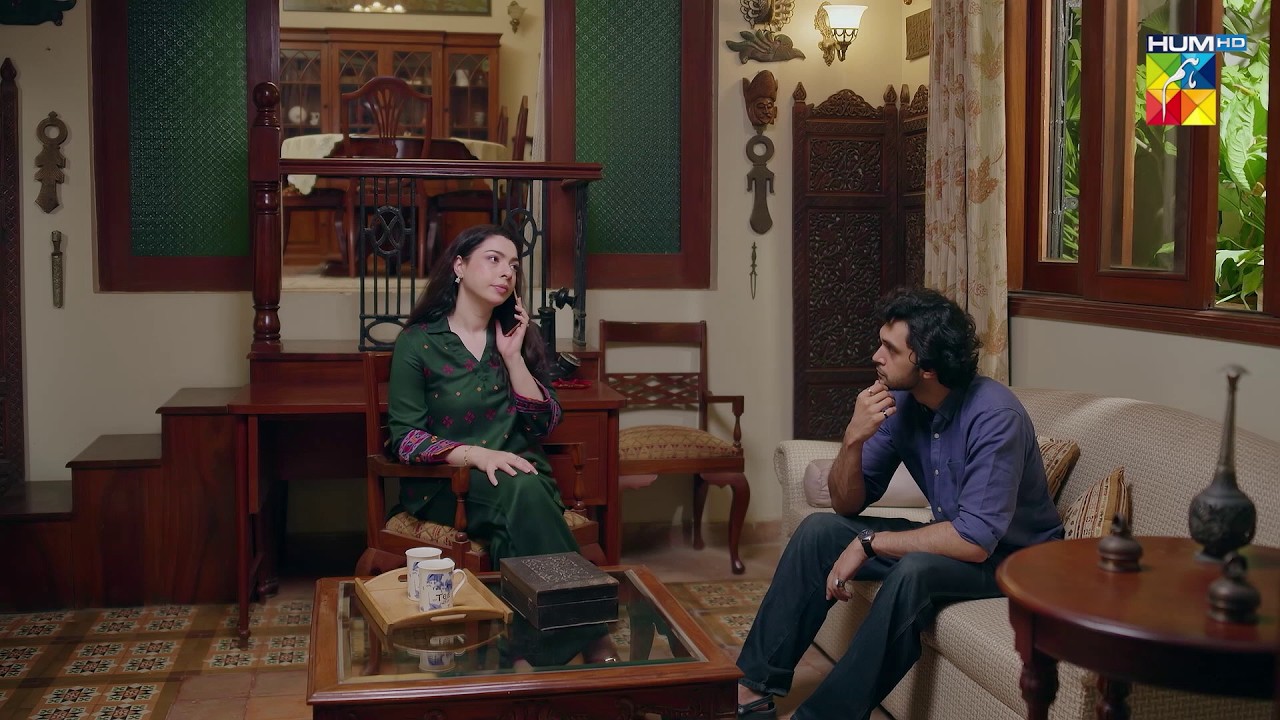 Beti Aur Us Ke Shohar Ki Laalach Kis Had Tak Barh Gayi..!! #alizehshah #narazhaizindagi